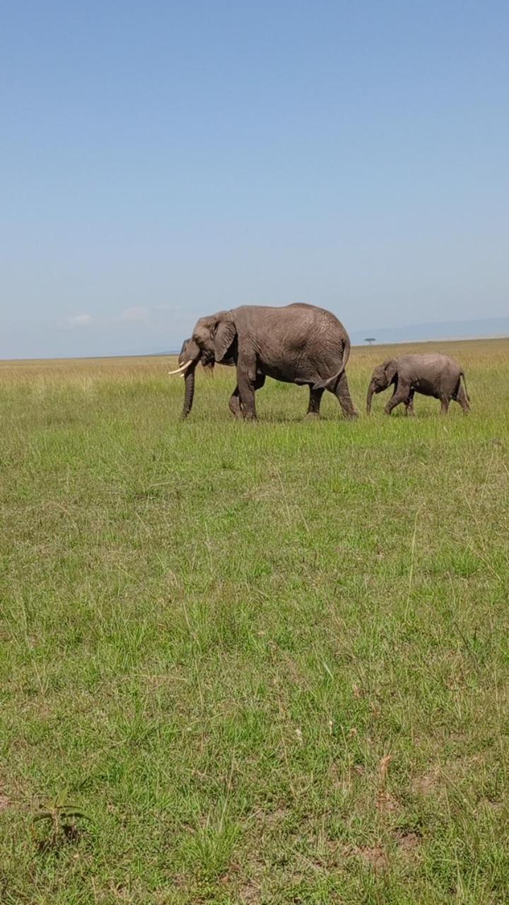 Apartamento Orkaria Safari Mara Camp Sekenani Exterior foto